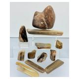 Rare 12-Piece Collection of Polished Petrified Wood – Ancient Fossilized Art