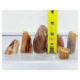 Rare 12-Piece Collection of Polished Petrified Wood – Ancient Fossilized Art