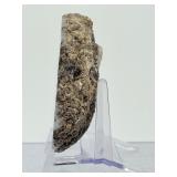 Polished Mexican Coconut 'Las Choyas' Geode Half - Icy Blue Agate Specimen