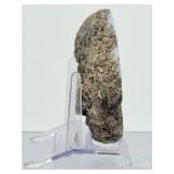 Polished Mexican Coconut 'Las Choyas' Geode Half - Icy Blue Agate Specimen