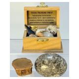 Premier Fossil Treasure Chest: Megalodon Pieces, Sharks Teeth, White & Rainbow Ammonites, Sea Urchins, Vertebrae, & Hand-Knapped Arrowheads