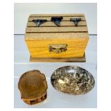 Premier Fossil Treasure Chest: Megalodon Pieces, Sharks Teeth, White & Rainbow Ammonites, Sea Urchins, Vertebrae, & Hand-Knapped Arrowheads