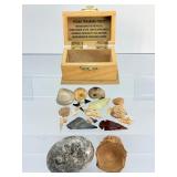 Premier Fossil Treasure Chest: Megalodon Pieces, Sharks Teeth, White & Rainbow Ammonites, Sea Urchins, Vertebrae, & Hand-Knapped Arrowheads