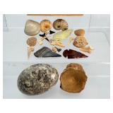 Premier Fossil Treasure Chest: Megalodon Pieces, Sharks Teeth, White & Rainbow Ammonites, Sea Urchins, Vertebrae, & Hand-Knapped Arrowheads