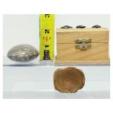 Premier Fossil Treasure Chest: Megalodon Pieces, Sharks Teeth, White & Rainbow Ammonites, Sea Urchins, Vertebrae, & Hand-Knapped Arrowheads