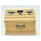 Premier Fossil Treasure Chest: Megalodon Pieces, Sharks Teeth, White & Rainbow Ammonites, Sea Urchins, Vertebrae, & Hand-Knapped Arrowheads
