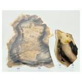 2-Piece Petrified Wood Slab Set - Visible Growth Rings & Mineral Replacement - Fossil Specimen