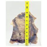 2-Piece Petrified Wood Slab Set - Visible Growth Rings & Mineral Replacement - Fossil Specimen