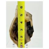 2-Piece Petrified Wood Slab Set - Visible Growth Rings & Mineral Replacement - Fossil Specimen