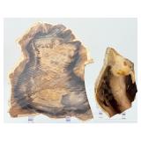 2-Piece Petrified Wood Slab Set - Visible Growth Rings & Mineral Replacement - Fossil Specimen