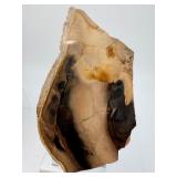 2-Piece Petrified Wood Slab Set - Visible Growth Rings & Mineral Replacement - Fossil Specimen