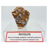 Rare 'Leopard-Skin' Raw Rhyolite Specimen - Intricate Plum & Ochre Volcanic Formation with Display Stand