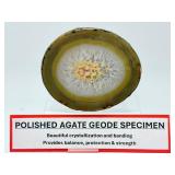 Museum-Grade Agate Geode Half with Intact Embedded Ammonite & Fossil Impressions