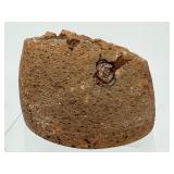 Museum-Grade Agate Geode Half with Intact Embedded Ammonite & Fossil Impressions