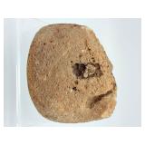 Museum-Grade Agate Geode Half with Intact Embedded Ammonite & Fossil Impressions