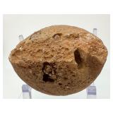 Museum-Grade Agate Geode Half with Intact Embedded Ammonite & Fossil Impressions