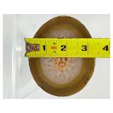 Museum-Grade Agate Geode Half with Intact Embedded Ammonite & Fossil Impressions