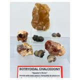 8-Piece Master Collection of Rare Botryoidal Chalcedony & 'Speaker's Stone' Specimens – Natural Morphological Wonders