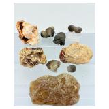 8-Piece Master Collection of Rare Botryoidal Chalcedony & 'Speaker's Stone' Specimens – Natural Morphological Wonders