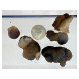 8-Piece Master Collection of Rare Botryoidal Chalcedony & 'Speaker's Stone' Specimens – Natural Morphological Wonders