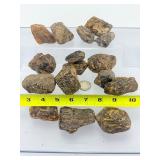 Rare Specimen Set: Raw Fossilized Amber Collection in Geometric Wire Display Basket