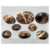 Rare 8-Piece Black Opal Polished Stone Collection – High-Contrast Marbling & Protection