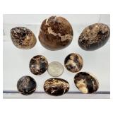 Rare 8-Piece Black Opal Polished Stone Collection – High-Contrast Marbling & Protection