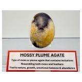 Stunning Polished Mossy Plume Agate Specimen – Rare Internal 'Feather' Patterns
