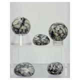 Rare Austrian Pinolith Collector’s Set – Stunning Natural Patterns