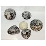 Rare Austrian Pinolith Collector’s Set – Stunning Natural Patterns