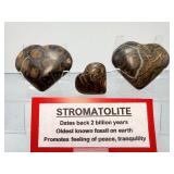 2-Billion-Year-Old 'Oxygen Origins' Stromatolite Fossil Hearts – Set of 3