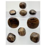 Extremely Rare Ancient Fossil Stromatolite Tumbled Stone Collection – Authentic 2 Billion Year Old Polished Natural History Specimens – Primordial Cyanobacteria Algae Fossils – Unique Grounding 