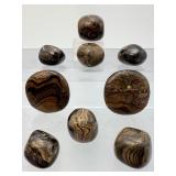 Extremely Rare Ancient Fossil Stromatolite Tumbled Stone Collection – Authentic 2 Billion Year Old Polished Natural History Specimens – Primordial Cyanobacteria Algae Fossils – Unique Grounding 