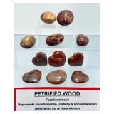 Collection of 11 Polished Petrified Wood Hearts & Palm Stones