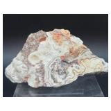 Laughter Stone' Crazy Lace Agate – Large Unpolished Collector Specimen (Chihuahua, Mexico)