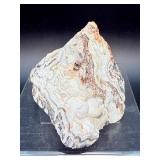 Laughter Stone' Crazy Lace Agate – Large Unpolished Collector Specimen (Chihuahua, Mexico)