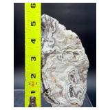 Laughter Stone' Crazy Lace Agate – Large Unpolished Collector Specimen (Chihuahua, Mexico)
