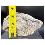 Laughter Stone' Crazy Lace Agate – Large Unpolished Collector Specimen (Chihuahua, Mexico)