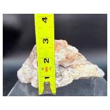 Laughter Stone' Crazy Lace Agate – Large Unpolished Collector Specimen (Chihuahua, Mexico)