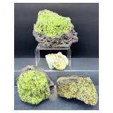 Rare Natural Peridot in Basalt Matrix Cluster – Raw 'Gem of the Sun' Olivine Xenolith Specimens – Authentic Arizona/San Carlos Mineral Collection