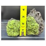 Rare Natural Peridot in Basalt Matrix Cluster – Raw 'Gem of the Sun' Olivine Xenolith Specimens – Authentic Arizona/San Carlos Mineral Collection