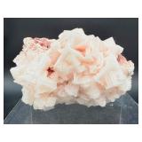 Museum-Quality Pink Halite Crystal Cluster – Rare 'Hopper' Formation from Searles Lake, CA
