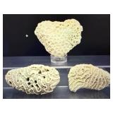 Rare Natural White Coral Specimen Set: Fossilized Brain and Crater Coral Collection - Vintage Marine Life Display