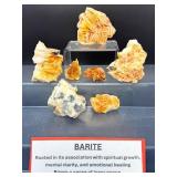Exquisite Collector's Lot: 7 Natural Bladed Barite Crystal Clusters - Vibrant Orange 'Desert Rose' Formations