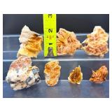 Exquisite Collector's Lot: 7 Natural Bladed Barite Crystal Clusters - Vibrant Orange 'Desert Rose' Formations
