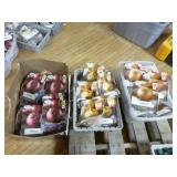 Onion Seed Packets