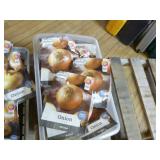 Onion Seed Packets