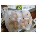 Onion Seed Packets