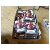 Onion Seed Packets