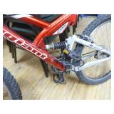 Warp Giant DS2 Trail Bicycle